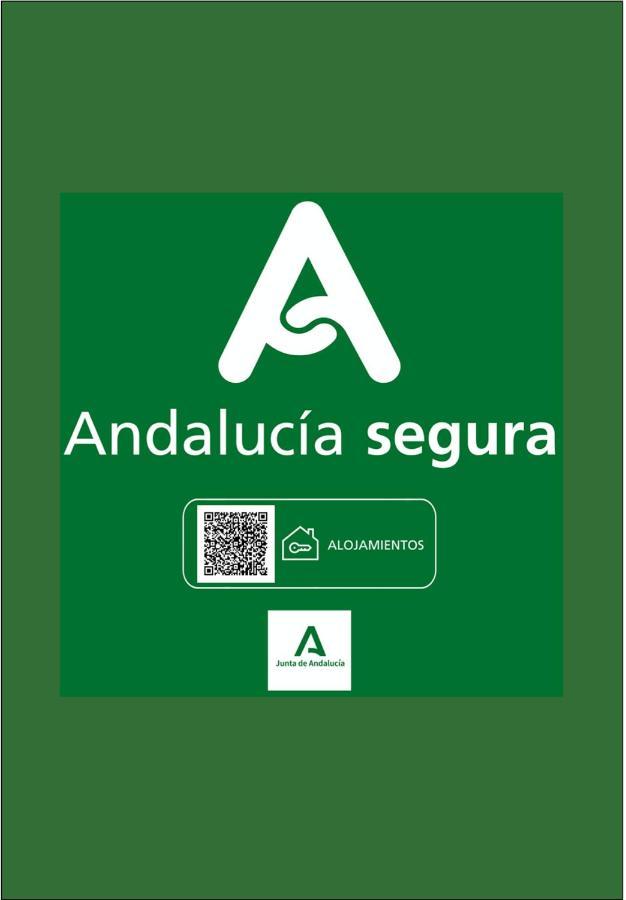 Holidays2Malaga Heredia 3 Bedroom Opposite Malaga Port Экстерьер фото